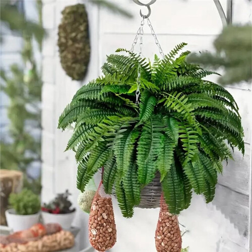 23.62 Inch Fern Plants X4 1