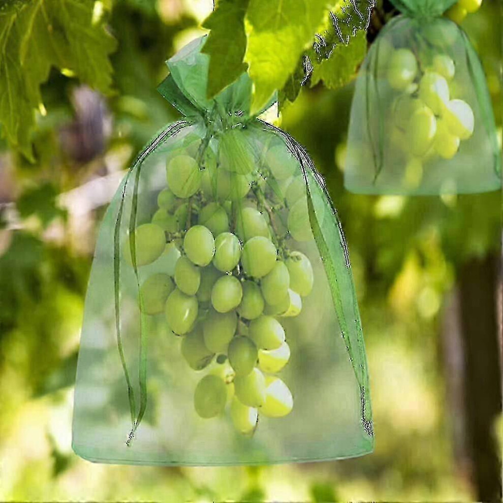 200 Pcs Grape Organza Bunch Bags 30X20cm/23X17cm Drawstring Fruit Protection Netting 4336697425656