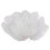 10 Pieces White Natural Ostrich Feather 20-25cm Wedding DIY 1