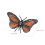 Ympuoqn Simulation Insect Model Toy Solid Halloween Ornament 4