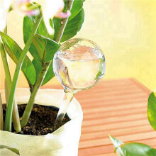 30 Pcs Automatic Watering Device Globes Vacation Houseplant Plant Pot Bulbs Garden Waterer Flower Water Drip Watering