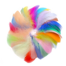 Debbery 150PCS Feathers for Crafts, 5-8cm Colorful Feathers in Bulk, Suitable for DIY Dream Catcher, Box Filling Decoration, Wedding, Home, Party Dec