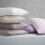 Catherine Lansfield Catherine Lansfield Easy Iron Percale Standard Pillowcase Pair White 4
