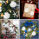 SKOOLOVE 10PCS White Scallops Shells 6