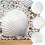 SKOOLOVE 10PCS White Scallops Shells 2