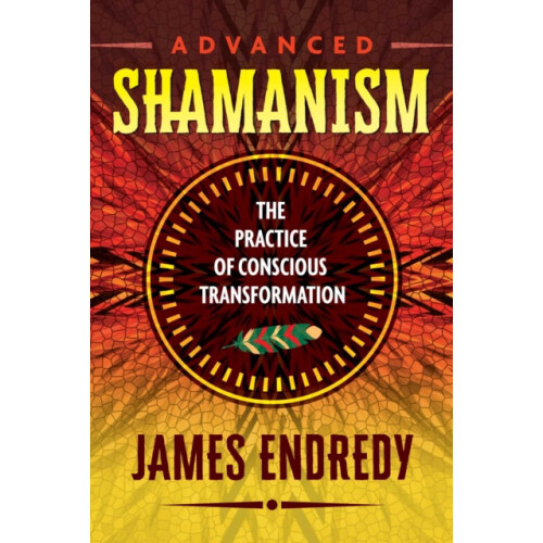 Advanced Shamanism by James Endredy Paperback Book