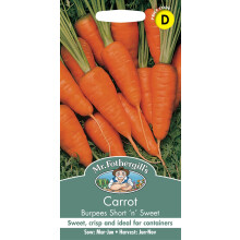 Fothergill's Carrot Burpees Short 'n' Sweet, Vegetable Seeds, 1000 Seeds, Sow: M