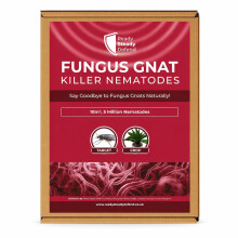 Fungus Gnat Killer Nematodes 10 m² (5 million) Indoor Plants - Effective Biological Control, Ideal Gnats Killer Indoor Plants, Comprehensive Scairid
