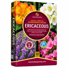 Green Haven Ericaceous Compost 50L for Blueberries, Azaleas, Camellias & Rhodode