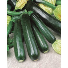 Simply Garden Courgette Black Beauty Vegetable Seeds Grow Your Own Garden