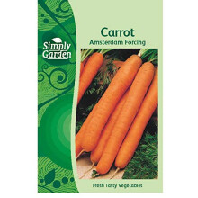 Simply Garden Carrot Amsterdam Forcing Seeds Fresh Vegetable Grow Your Own Garden