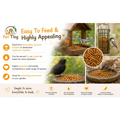 Premium Dried Mealworms, 5L Bag 1