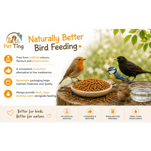 Premium Dried Mealworms, 5L Bag 2