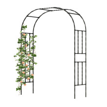 Caroeas Metal Garden Arch with 20mm Thickened Galvanized Steel Tubes, Rust-Resistant rose arch, 150cm Wide x 240cm High