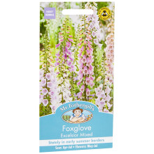 Mr Fothergill's Foxglove Excelsior Mixed