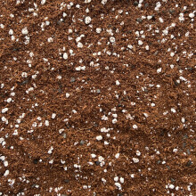 Premium Terrarium Potting Mix with Perlite & Activated Biochar – Nutrient-Rich S