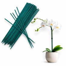 50 Green Plant Sticks - 45cm Bamboo Canes Plant Support Stakes