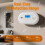 Hapippofa Carbon Monoxide Detector  Replaceable BatteryPowered CO Alar 1