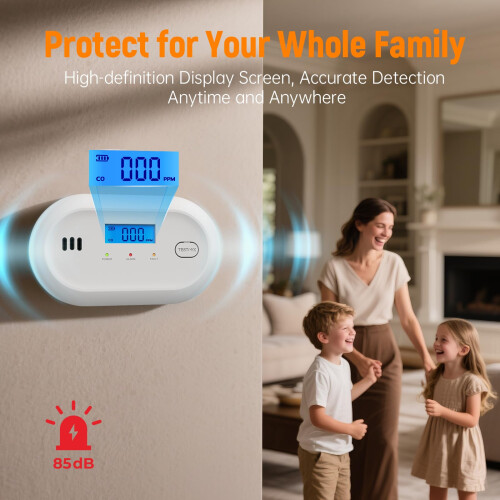 Hapippofa Carbon Monoxide Detector  Replaceable BatteryPowered CO Alar 2