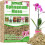 Vitax Fruit and Vegetable Feed 1