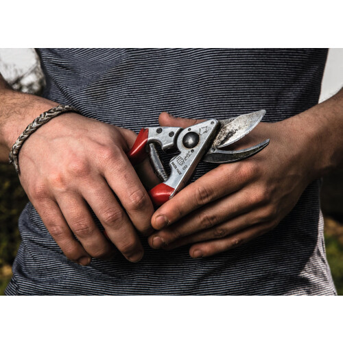 Felco Felco FEL8 Model 8 Classic Secateurs (Renewed) 1