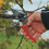Felco Felco FEL8 Model 8 Classic Secateurs (Renewed) 3