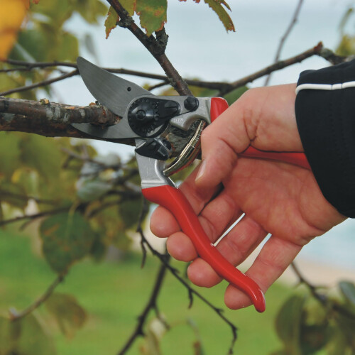 Felco Felco FEL8 Model 8 Classic Secateurs (Renewed) 2
