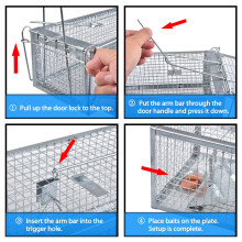 2-Pack Humane Live Mouse Rat Cage Traps | Catch and Release, For Indoor and Outdoor Use