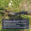 Spear & Jackson Spear & Jackson 4057NB Elements Daisy Grubber 5