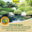 Tetra Tetra AlgoFin Pond Treatment - Combats Blanketweed & Algae 1L 4