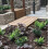 SuperGift.com 50L Multi-Purpose Compost, General Purpose Potting Compost for Flo 3