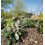 SuperGift.com 50L Multi-Purpose Compost, General Purpose Potting Compost for Flo 5