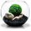 BioBizz 500ml Bio-Grow Liquid 4