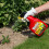 Weedol Weedol Rootkill Plus Weedkiller, Spray, 1 Litre 3