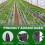 TEYIAN 2 x 3M Heavy Duty Polythene Plastic Sheeting Thickened Plastic Dust Sheet 4