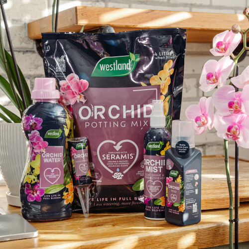 Westland Orchid Feed Concentrate 200ml 2