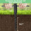 PREMIER SEEDS DIRECT - CRESS Plain/Curled/Common - 75GM - Approx 30,000 Seeds 2