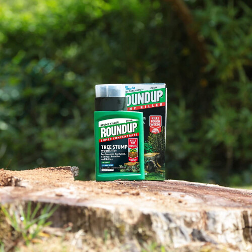 Miracle-Gro Roundup Tree Stump and Root Killer 250 ml Liquid Concentrate Weedkiller 2