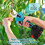 Gro-Sure Multi Purpose Lawn Seed Box 10sq.m + 30% EF 3