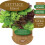 Gardeners Kitchen - Lettuce Plants - 'Mixed' 6 X Medium Plug Vegetable Plants 2