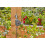 Gardena Gardena Water Control Easy, Irrigation Timer 3