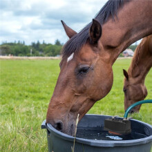 2pack Autofill Water Trough Float Valve for Livestock, Cattle, Horses - Fits Standard 3/4'' Hose