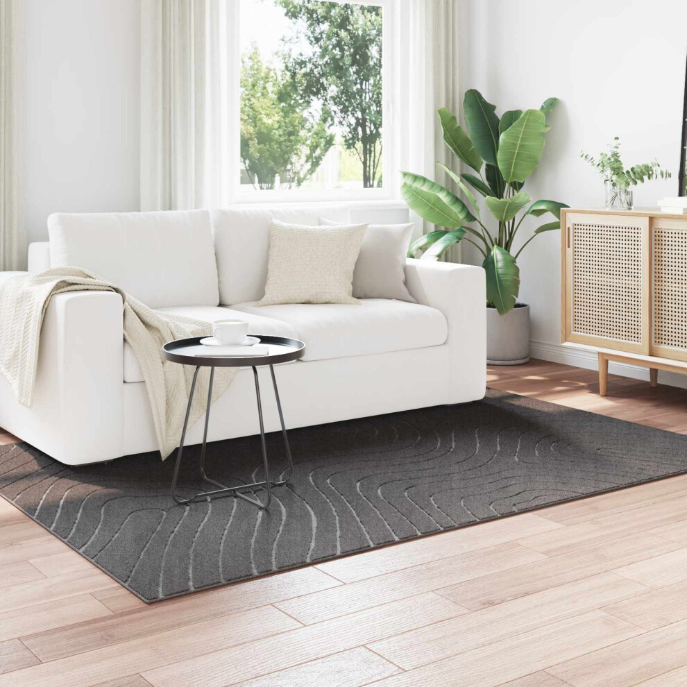 Vidaxl Area Rugs Rectangular Palmeras Anthracite 200 X 140 Cm