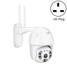 De QX21 1080P HD draadloze netwerkcamera ondersteunt nachtzicht, bewegingsdetectie, tweewegsaudio en TF-kaartinvoer. (Britse standaard) Cadeau: QX21