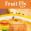 Zero In Fruit Fly Trap Twinpack Ready Baited 5