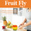 Zero In Fruit Fly Trap Twinpack Ready Baited 6