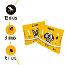(1) Flea and Tick Collar for Dogs, Long-Lasting Pest Repellent, Waterproof, Adjustable, 1-Pack