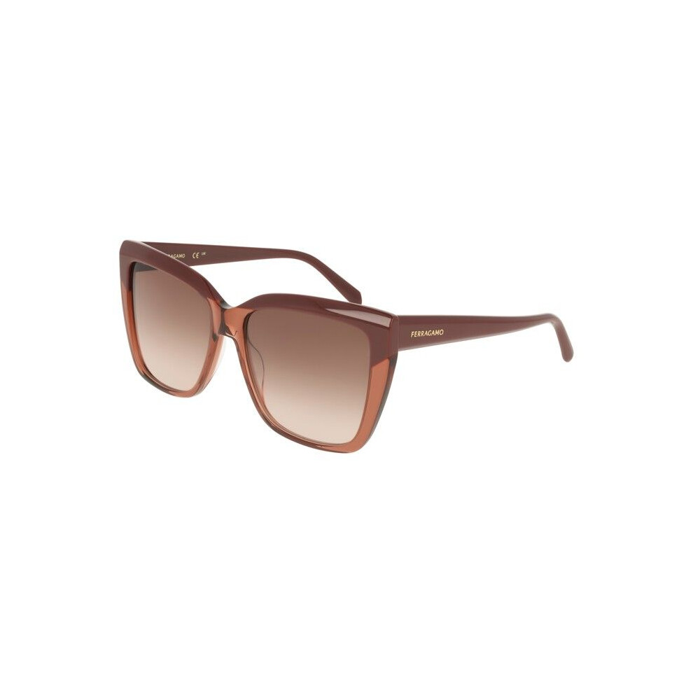 Ferragamo Sf1102s Sunglasses 58/16/140 Burgundy/Transparent Brown Acetate Woman Sf1102s