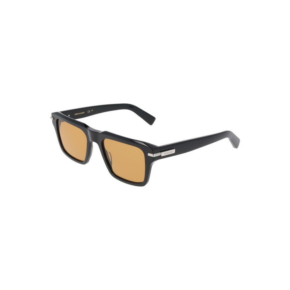 Ferragamo Sunglasses - Sf2079slbi - Transparent Grey - Acetate - 54/20/145