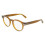 Ferragamo Ferragamo SF3045 50/20/150 Transparant bruin Acetaat MAN SF3045 1